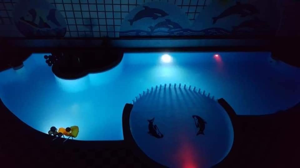 Apartman Eva Hurghada Eksteriør billede